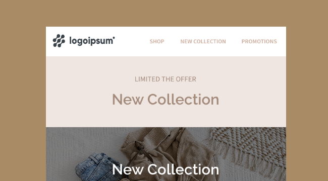 Free Wireframe Template for Ecommerce newsletter
